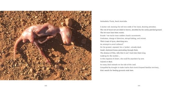 Borrowed Time - Image 4