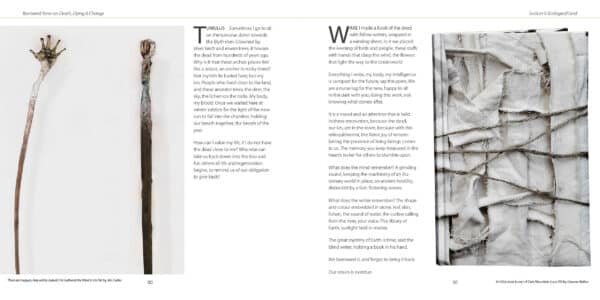 Borrowed Time - Image 6