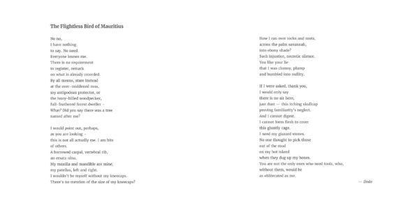 Borrowed Time - Image 11