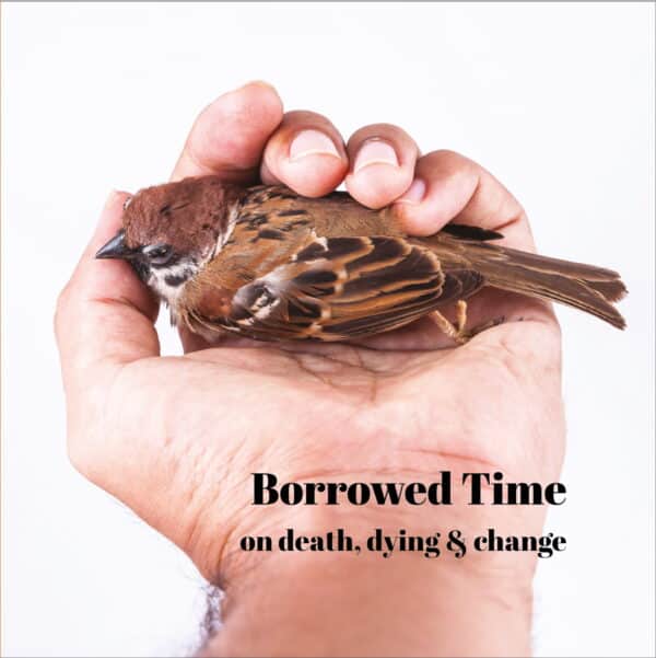 Borrowed Time - Image 7
