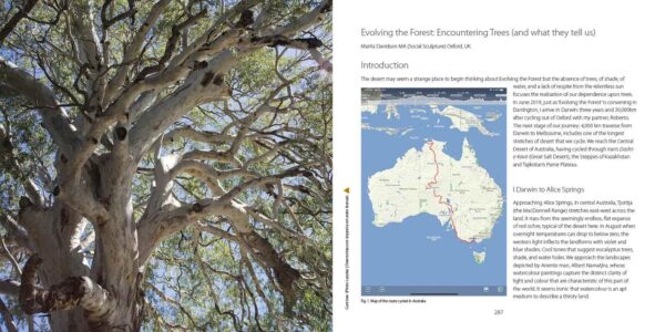 Evolving the Forest (eBook) - Image 3