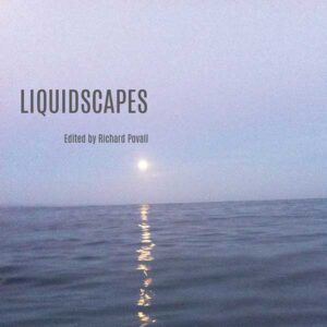 Liquidscapes