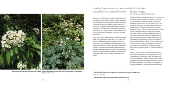Evolving the Forest (eBook) - Image 5
