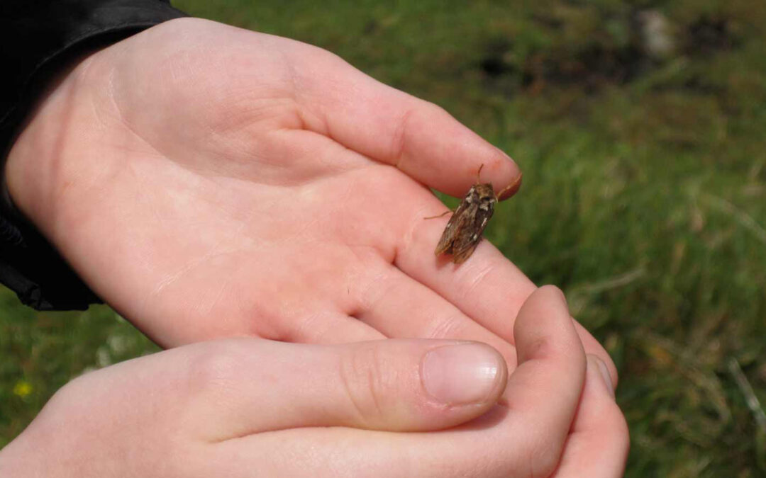 Can our optimism stand?