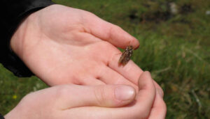 Can our optimism stand?